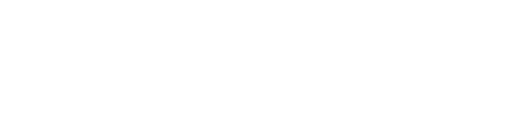 Logo Quality Assist Bolivia